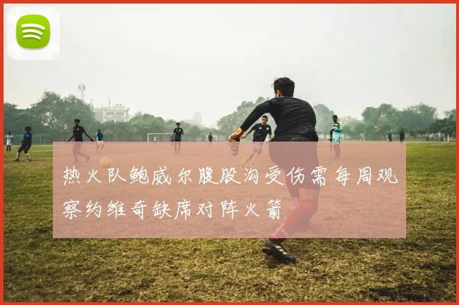 热火队鲍威尔腹股沟受伤需每周观察约维奇缺席对阵火箭