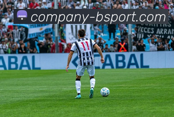 B体育APP 封面图